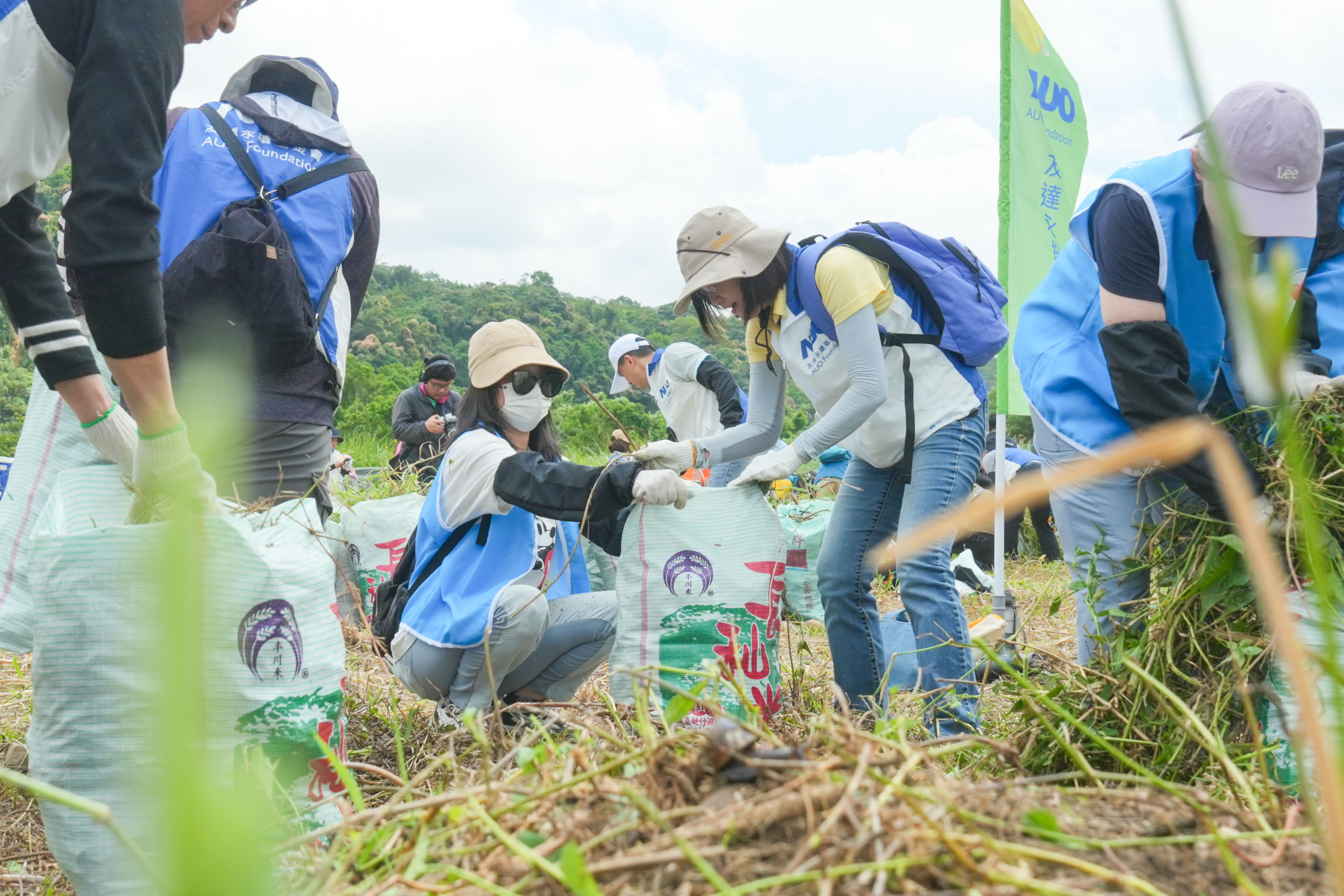 VR彩票除蔓防治計畫，除了鎖定霄裡溪沿岸3.2公里移除外來入侵種小花蔓澤蘭，並進行物種與空拍調(diào)查，共記錄91科181屬239種維管束植物，顯示該區(qū)域具高度生態(tài)價值